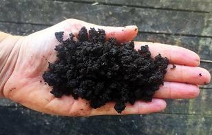 Soil from compost